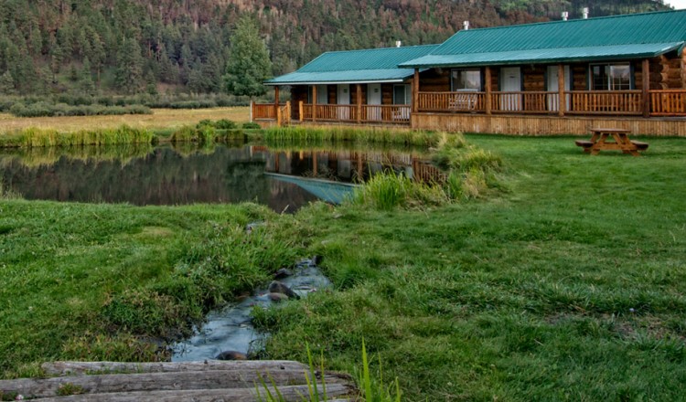 Best of Greer Arizona