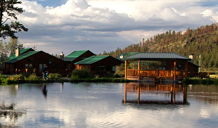 Family Reunions - Greer, Arizona