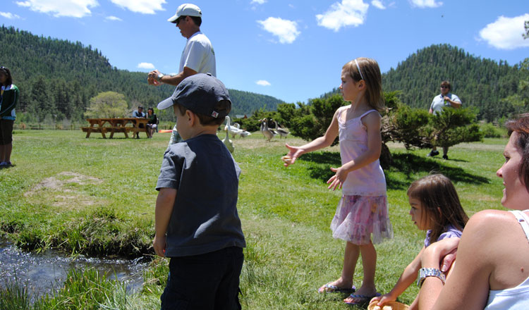 Family Reunions - Greer, Arizona