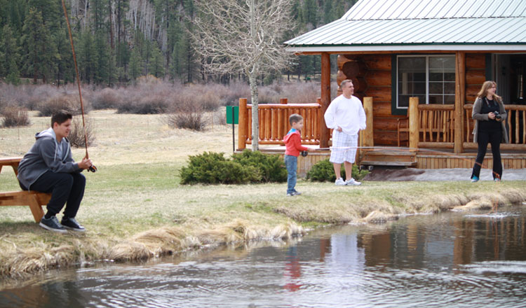 Family Reunions - Greer, Arizona