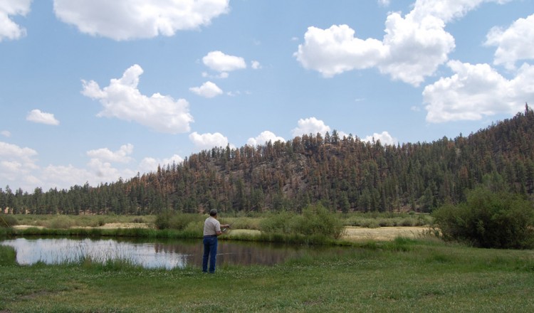 Fly Fishing at Log Motel Rooms