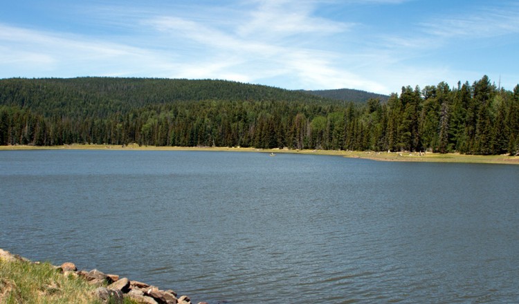 Fall Season - Fishing in Greer