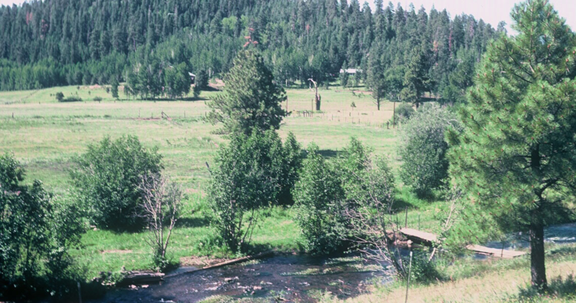 Historic Greer Lodge