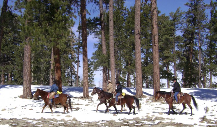 Horseback Riding