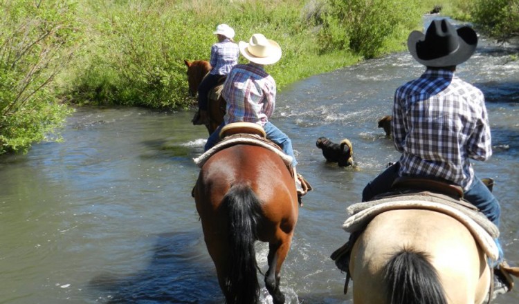 Horseback Riding