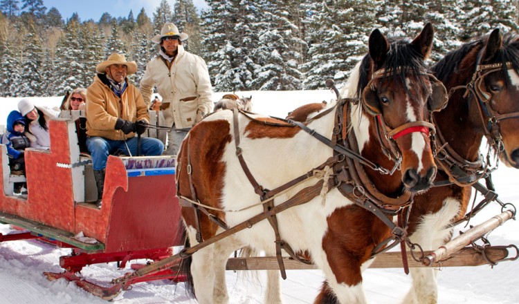 Horseback Riding