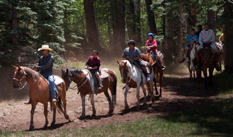 Horseback Riding