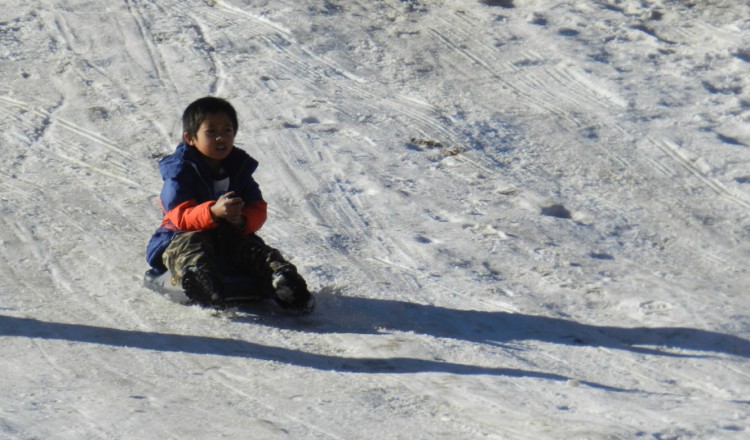 Sledding - Greer Lodge AZ