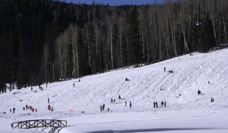 Sledding Hill - Greer Lodge AZ