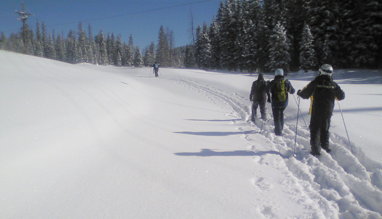 Snowshoeing - Greer, Arizona