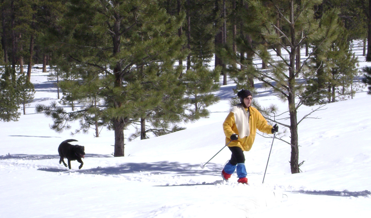 Snowshoeing - Greer, Arizona