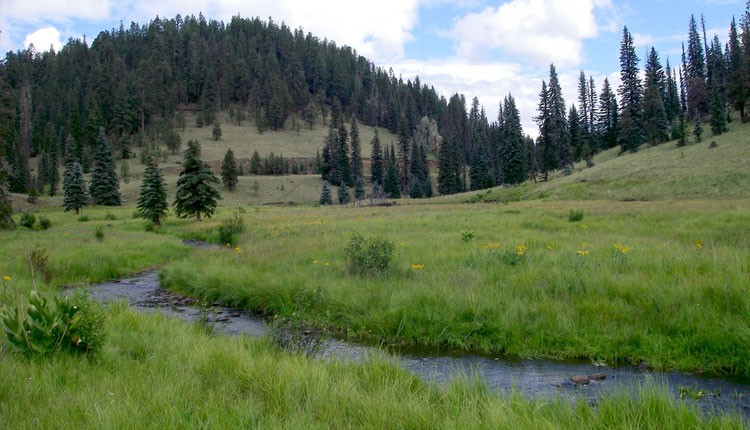 White Mountains, Arizona