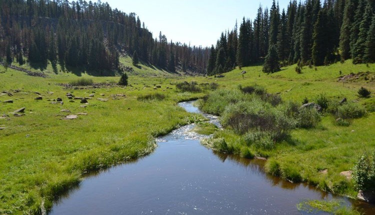 White Mountains, Arizona