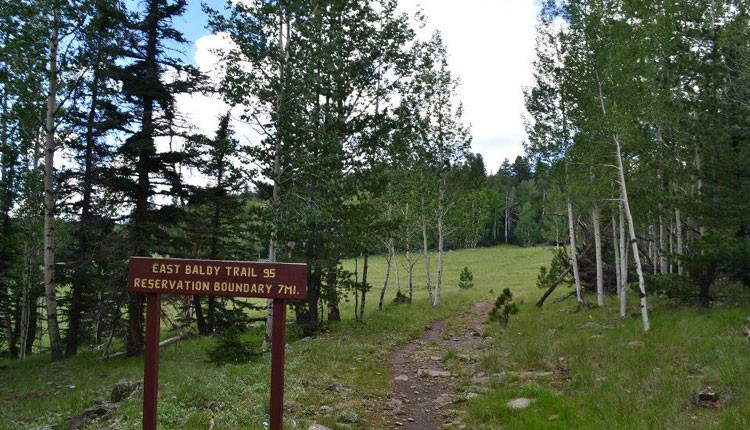 White Mountains, Arizona