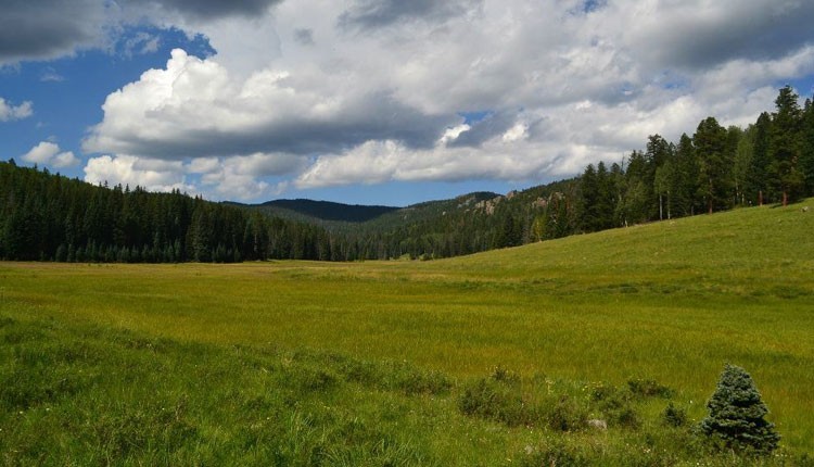 White Mountains, Arizona