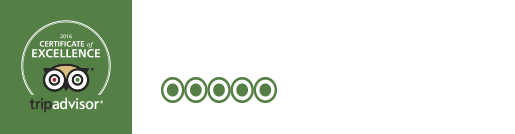 TripAdvisor - Certificate of Excellence