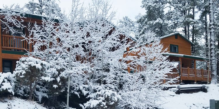 Cabin Rentals in Winter at Greer Lodge