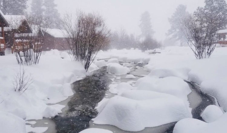 Record-Breaking Snowfall in Greer, AZ