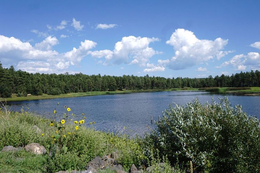 Woodland Lake Free Fishing Clinic