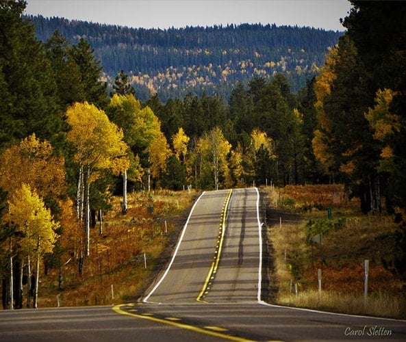 Fall Colors in Greer during October