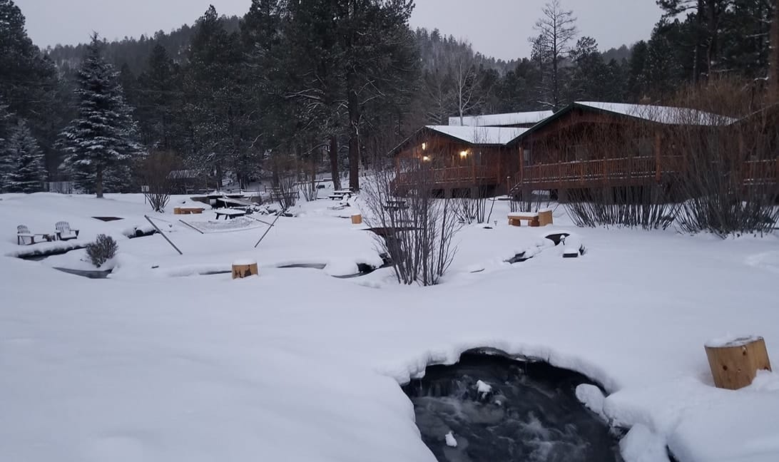 Ski Cabin Getaway in Arizona