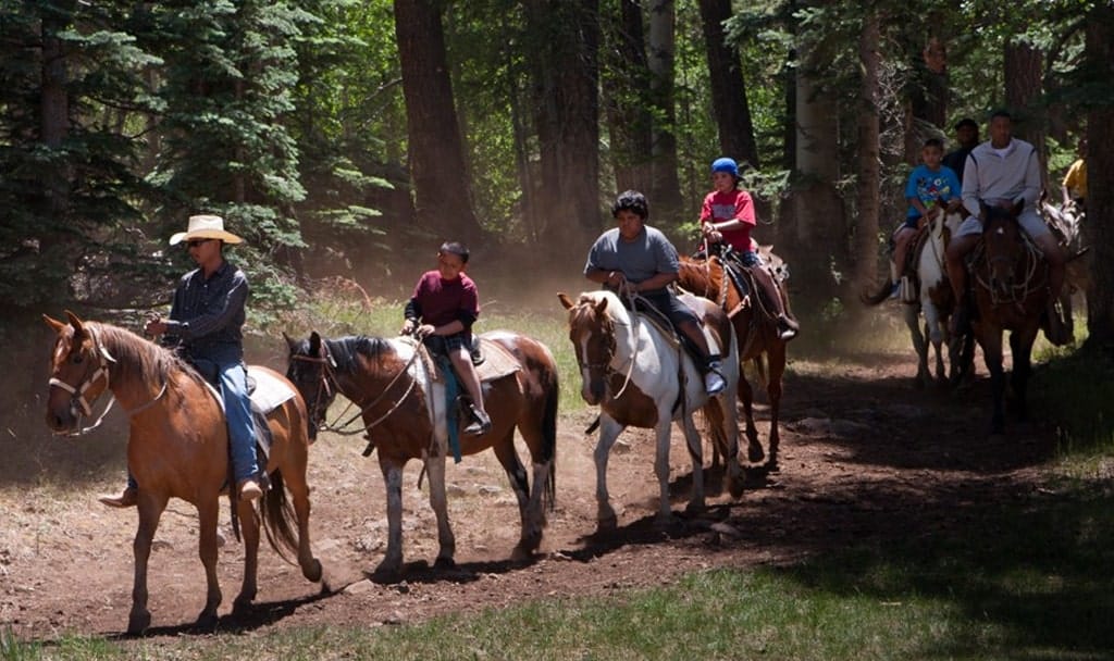 Horseback Riding in Greer