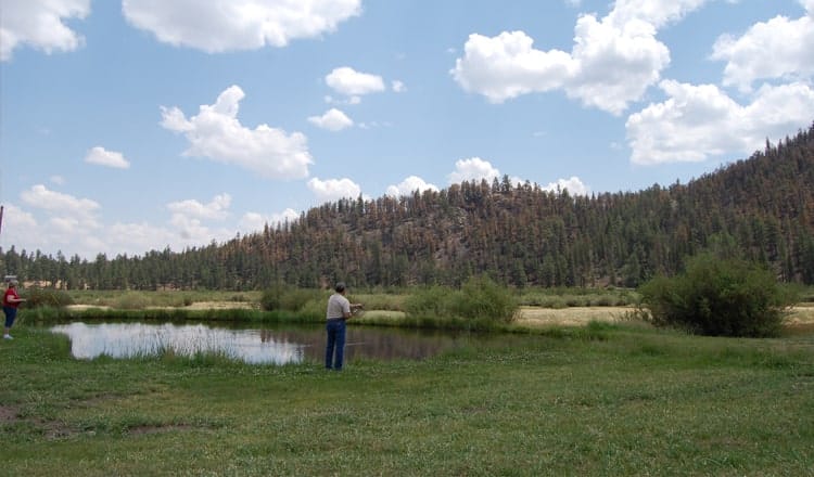 Fisherman casting line at Greer Lodge