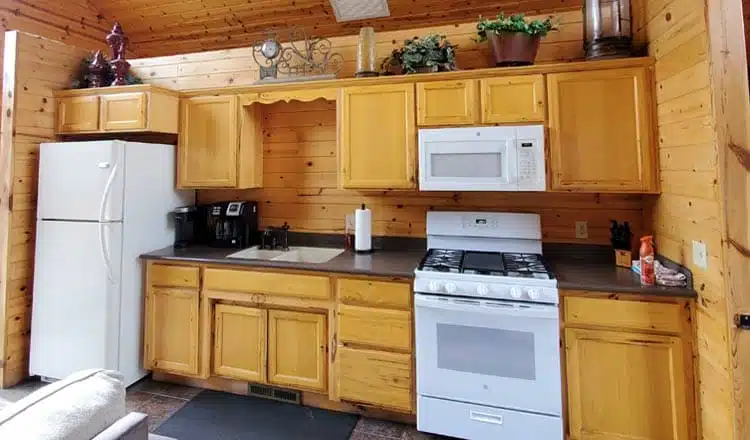 Kitchen in Cabin #281